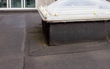 disadvantages of Tai Nant flat roofs