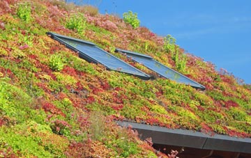Tai Nant living roof systems