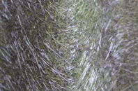 Tai Nant fibreglass roof work